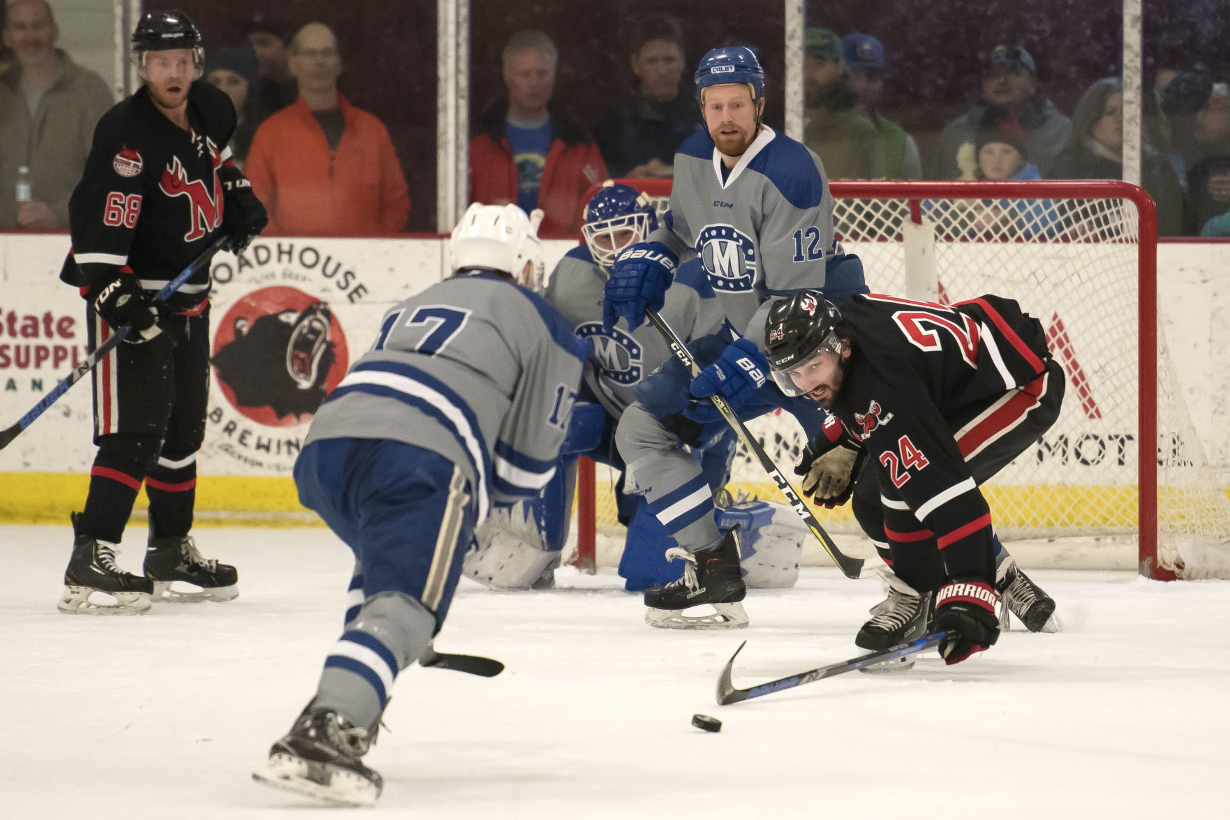Moose hockey